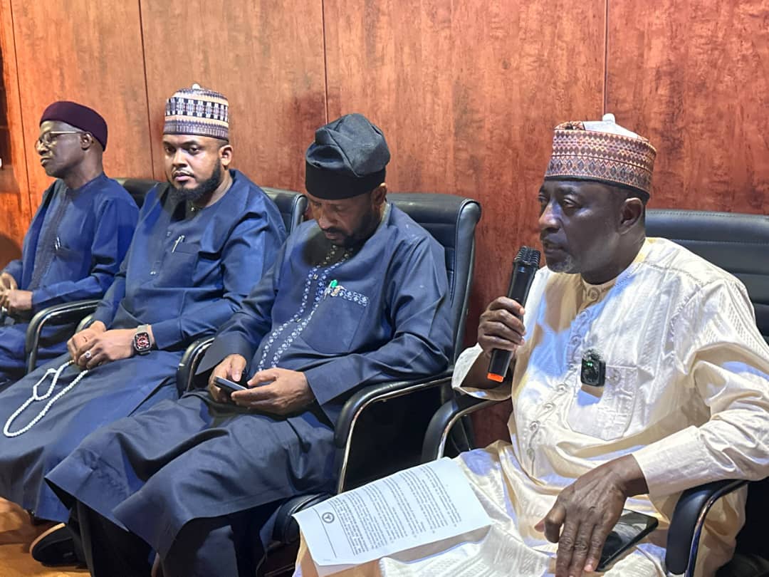 Katsina Targets 70MW Power Generation by 2031 — Governor Radda