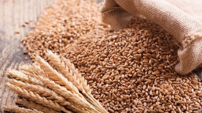 FG Unveils ‘Project WHEAT-NESS’ to Tackle Cost Pressures, Boost Nigeria’s Wheat-Based Food Industry