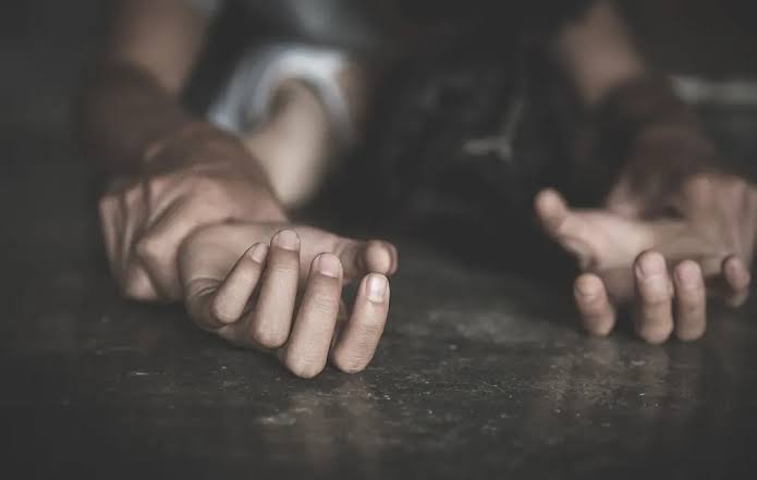 Katsina Stakeholders Push for Centres to Combat Sexual Violence